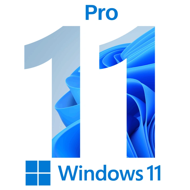Windows 11 Pro